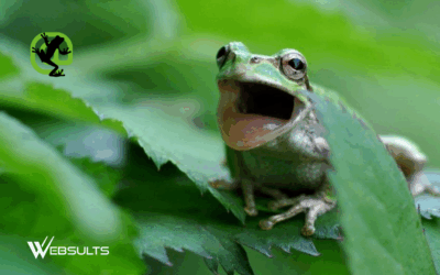 One of the Best Free SEO Tools – Screaming Frog SEO Spider