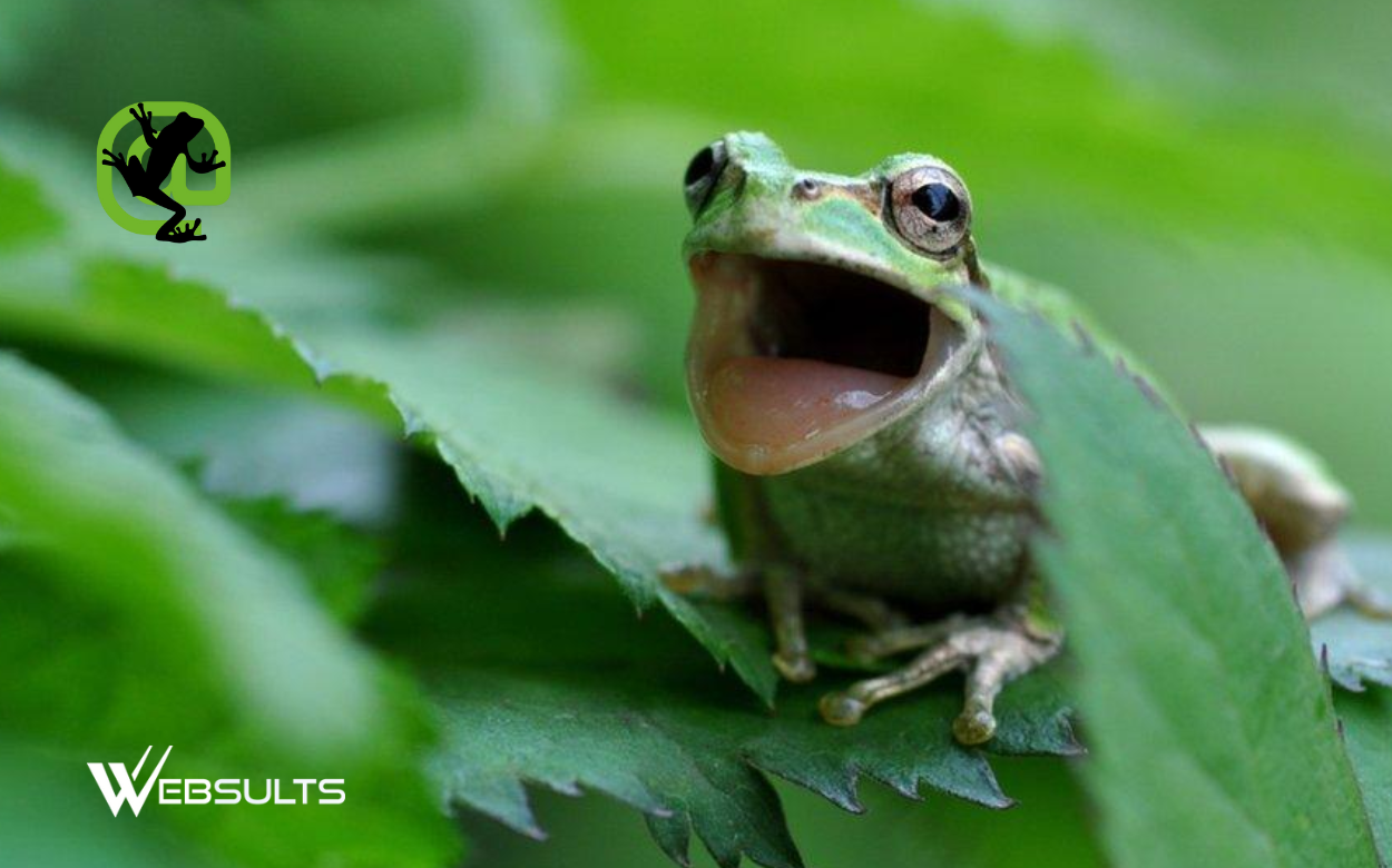 One of the Best Free SEO Tools - Screaming Frog SEO Spider