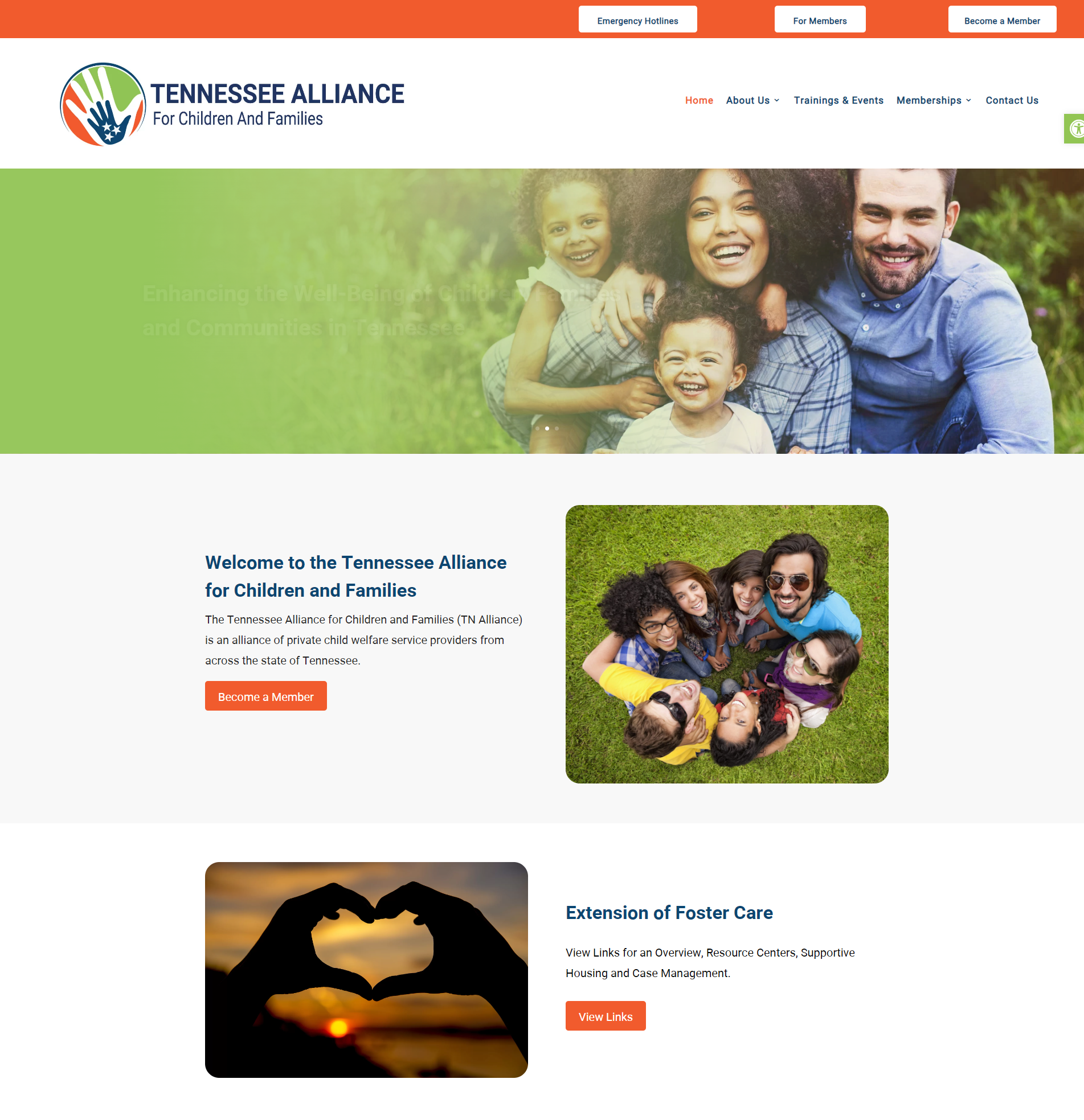 Tennessee Alliance website